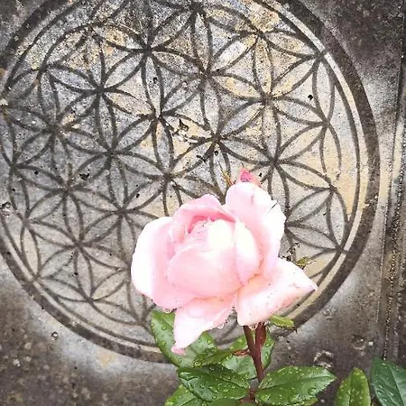 Musik Und Theater Roessle - For Angels